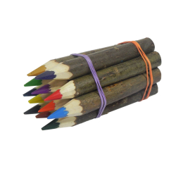 Kredki z leszczyny 12 szt